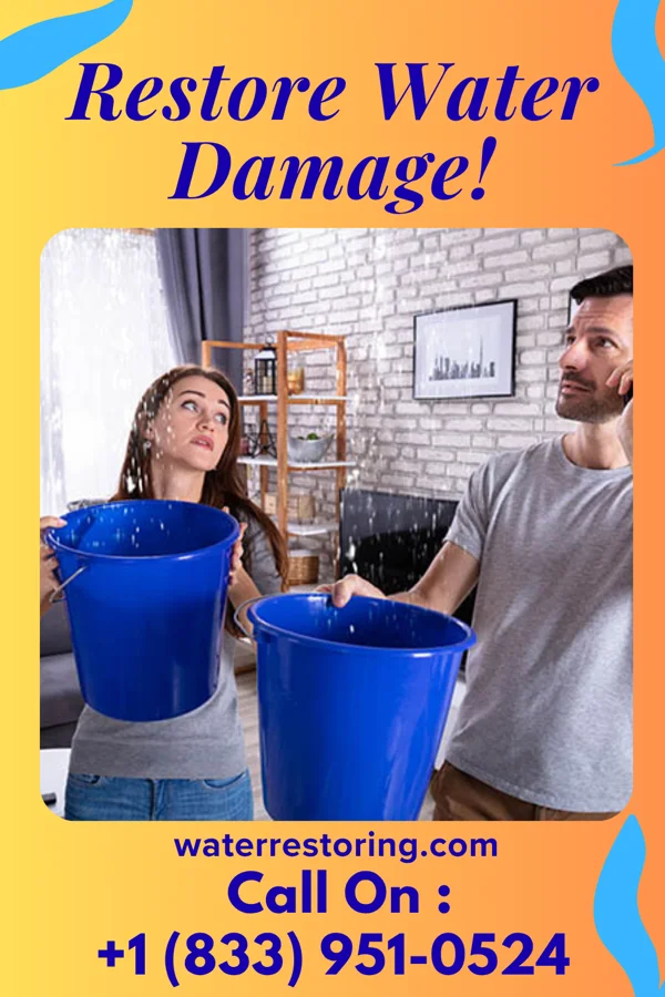 water restoration Patriot Water Works LLC Butterfield