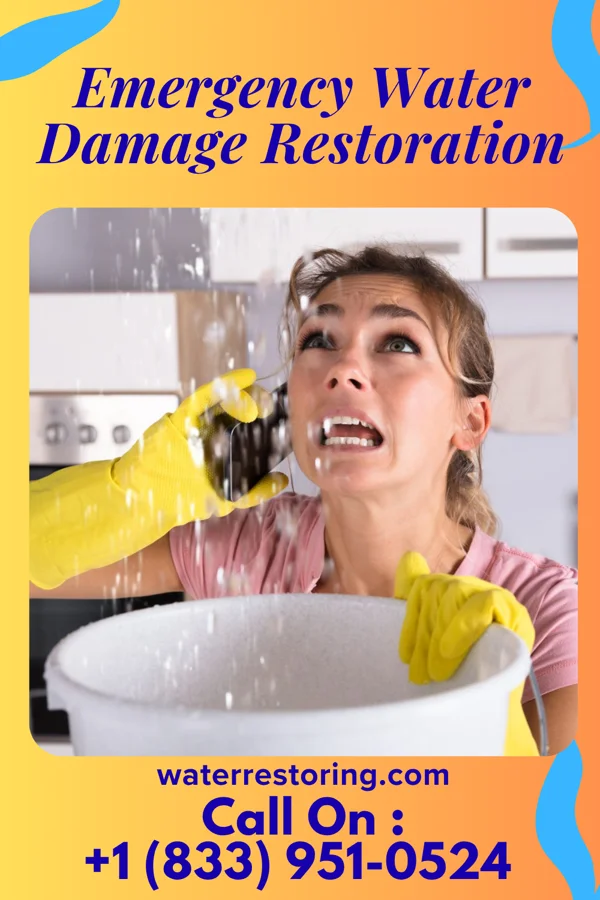 Emergency Water Damage Restoration in Butterfield, MN