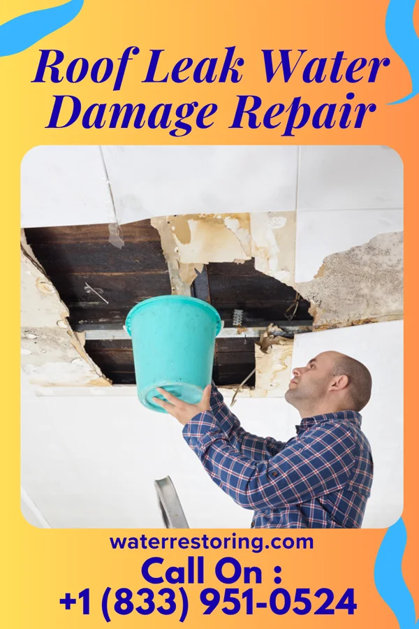 Roof Leak Water Damage Repair in Butterfield, MN