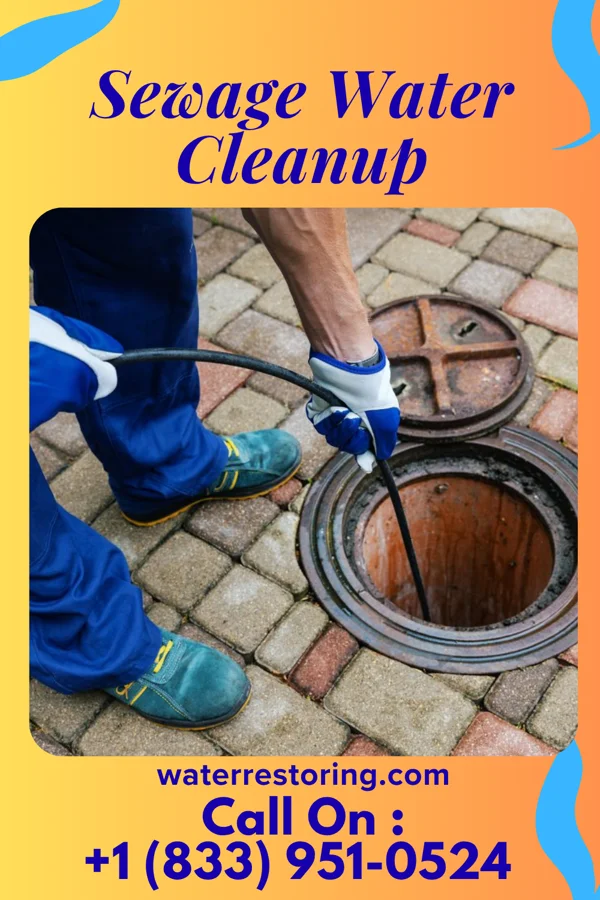Sewage Water Cleanup in Butterfield, MN
